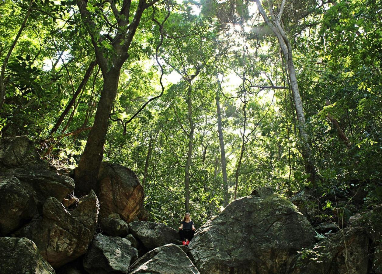 Calabazo  Wachakyta Ecolodge المظهر الخارجي الصورة