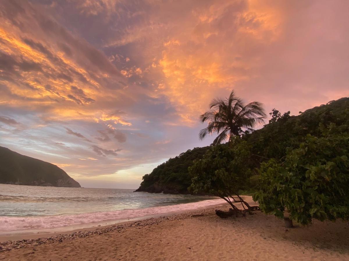 Calabazo  Wachakyta Ecolodge المظهر الخارجي الصورة