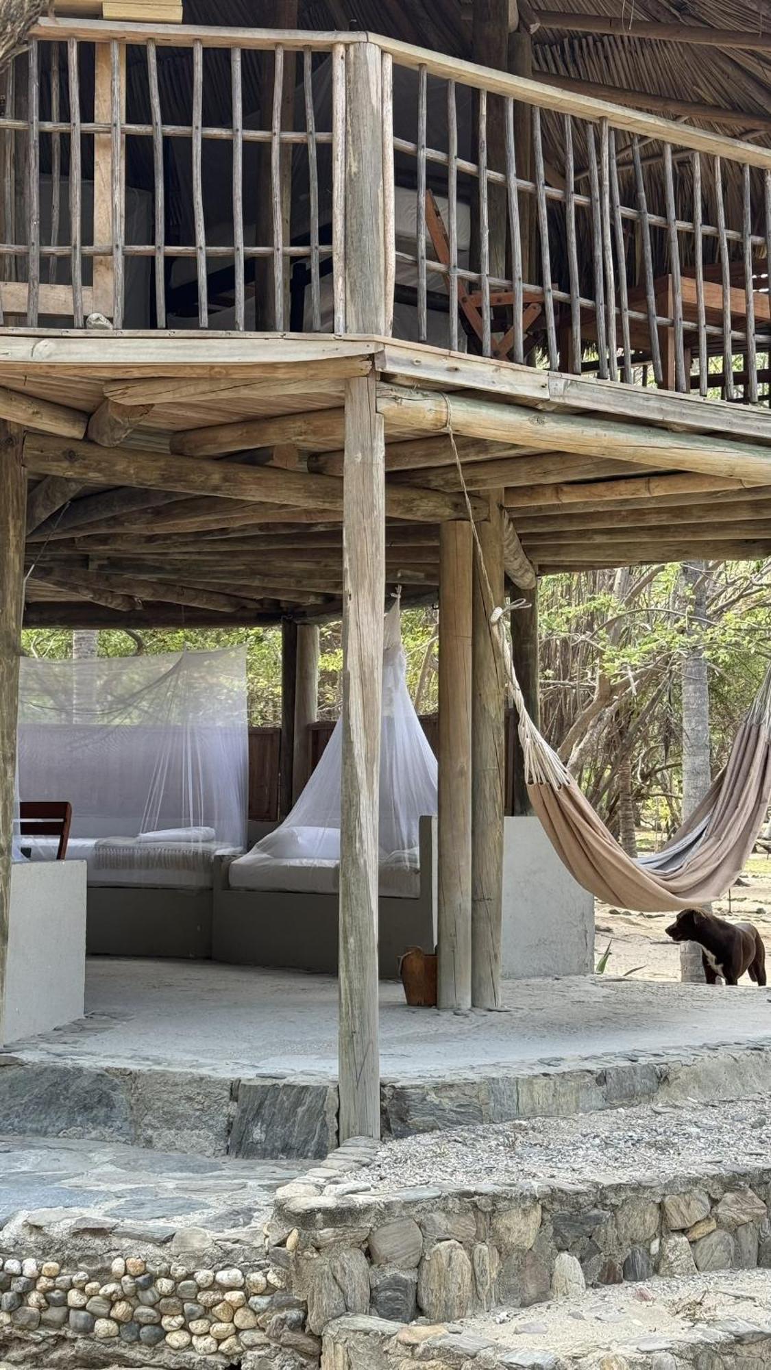 Calabazo  Wachakyta Ecolodge المظهر الخارجي الصورة